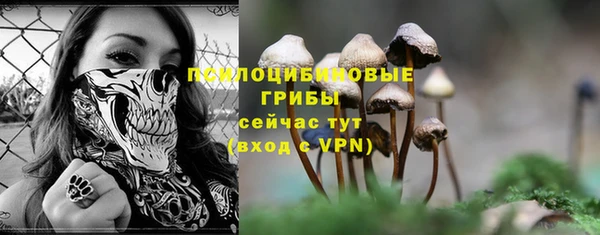 Альфа ПВП Балабаново