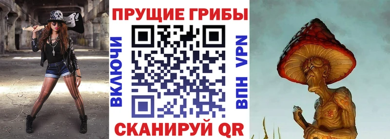 Галлюциногенные грибы GOLDEN TEACHER  Купить где  Дрезна 